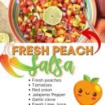Spice up your summer with this tasty Peach Pico de Gallo recipe. Grab those fresh peaches and whip up a bowl to snack on. This peach salsa recipe is so easy to make. Serve this homemade salsa recipe with chips or top on your favorite chicken recipe, fish recipe, or seafood dish.