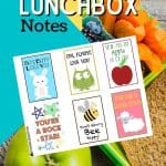 Brighten your child's school day by including one of these adorable free Printable Lunch Box Notes Back to School in their lunch. These lunch box printables will definitely make your child happy.