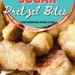 A simple recipe for a bread-making beginner, Cinnamon Sugar Pretzel Bites are a tasty treat made from scratch that will satisfy a sweet tooth. You can dip the warm homemade pretzel bites in your favorite dipping sauce - think caramel syrup or chocolate sauce. This easy homemade pretzel recipe makes a great afterschool snack idea for kids too. This is a copycat version of the famous Auntie Anne's Cinnamon Sugar Pretzels