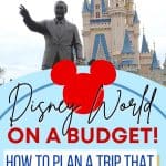 Walt Disney World can be overwhelming. From theme parks to water parks, there is so much to do and plan. If you are new to the Disney game, I have some helpful tips to help you save some money on your Walt Disney World Resort trip. Check out Disney World on a Budget: How to Plan a Trip That Doesn't Break the Bank. These Disney World Budgeting tips will help you plan an ecomonical Disney vacation.
