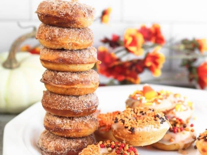 Rise by Dash Donut Bite Maker