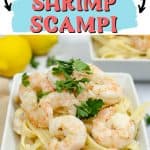 Prepare the perfect dinner with ease using this Instant Pot Shrimp Scampi recipe. Serve it over fettuccine noodles and a side salad to complete the meal. This easy instant pot recipe is a perfect weeknight meal idea. Try this easy Italian recipe.