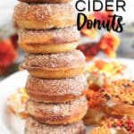 It doesn't have to be fall to enjoy these Baked Apple Cider Donuts. This no yeast baked donut is full of sweet apple cider flavor and topped with a cinnamon-sugar mixture. These easy old-fashioned baked donuts are made with simple ingredients. They are a baked and not friend. These homemade apple cider donuts are soft and moist cake-like doughnuts.