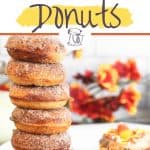 It doesn't have to be fall to enjoy these Baked Apple Cider Donuts. This no yeast baked donut is full of sweet apple cider flavor and topped with a cinnamon-sugar mixture. These easy old-fashioned baked donuts are made with simple ingredients. They are a baked and not friend. These homemade apple cider donuts are soft and moist cake-like doughnuts.