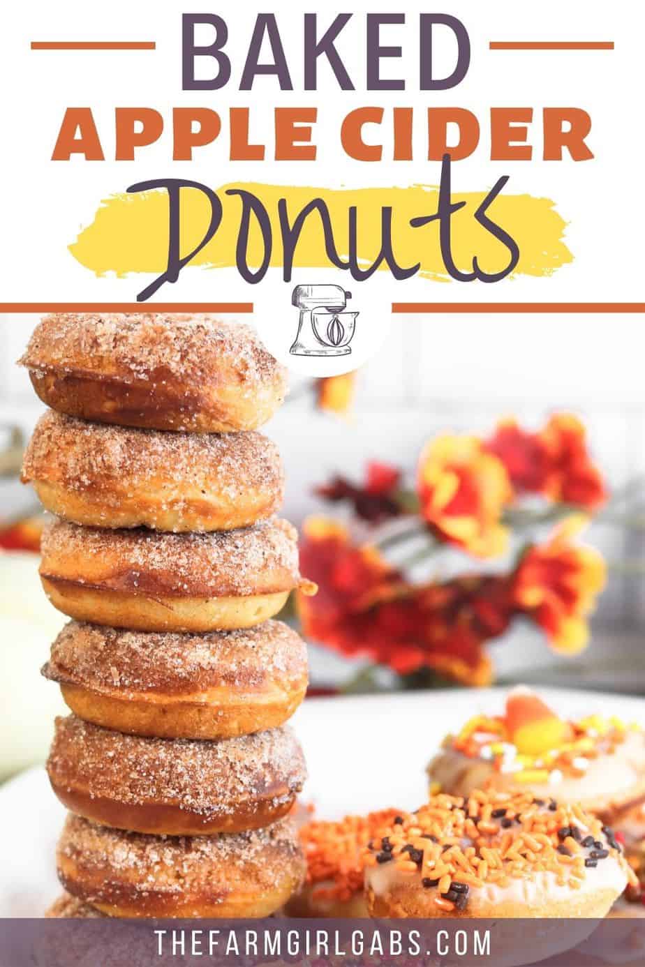 Baked Apple Cider Donuts Recipe - The Farm Girl Gabs®