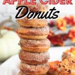 It doesn't have to be fall to enjoy these Baked Apple Cider Donuts. This no yeast baked donut is full of sweet apple cider flavor and topped with a cinnamon-sugar mixture. These easy old-fashioned baked donuts are made with simple ingredients. They are a baked and not friend. These homemade apple cider donuts are soft and moist cake-like doughnuts.