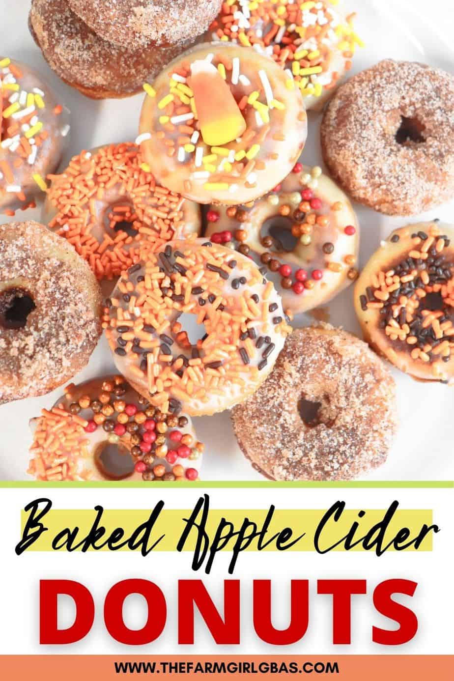 It doesn't have to be fall to enjoy these Baked Apple Cider Donuts. This no yeast baked donut is full of sweet apple cider flavor and topped with a cinnamon-sugar mixture. These easy old-fashioned baked donuts are made with simple ingredients. They are a baked and not friend. These homemade apple cider donuts are soft and moist cake-like doughnuts.