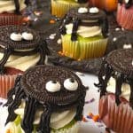Oreo Spider Cupcakes for Halloween are a tasty treat that kids will love eating and making. The colorful and cute cupcakes are sure to be a huge hit at Halloween gatherings, birthday parties and fall activities with family and friends. The best part yet, this Halloween-inspired cupcake recipe is topped with an Oreo cookie spider.