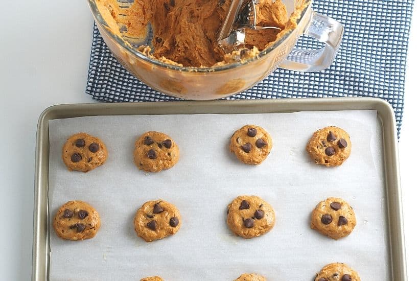 pumpkin chocolate chip cookies