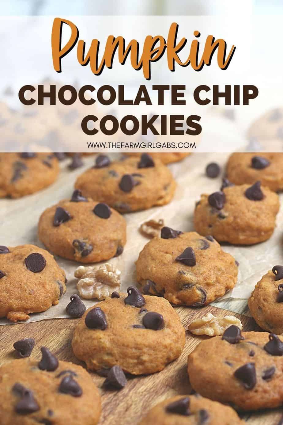 You can't go wrong with a classic chocolate chip cookie recipe. But have you ever had pumpkin chocolate chip cookies? These baked treats combine the flavor of both pumpkin and chocolate to create something incredible. Use this recipe for Pumpkin Chocolate Chip Cookies to make a tasty fall-inspired dessert. This easy fall cookie recipe makes a great after-school snack for kids.