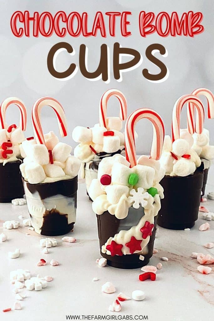 Are you a hot chocolate fan? These Hot Cocoa Bomb Cups are a fun gift to make for the holiday season. Learn how to make this easy DIY holiday food gift. Shaped like actual cups of hot cocoa, Solo Cup Chocolate Bombs are filled with hot cocoa mix, marshmallows and other delicious hot chocolate ingredients (think caramels, and peppermints).