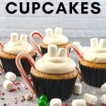 Combine the taste of your favorite warm beverage with a delicious baked cupcake treat when preparing these tasty Hot Chocolate Cupcakes. They’re the perfect dessert to serve during the holidays or winter months to your children and loved ones. This easy cupcake recipe is Santa-approved too.