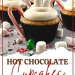 Combine the taste of your favorite warm beverage with a delicious baked cupcake treat when preparing these tasty Hot Chocolate Cupcakes. They’re the perfect dessert to serve during the holidays or winter months to your children and loved ones. This easy cupcake recipe is Santa-approved too.