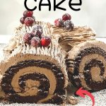 Get ready for the holidays with this fun Traditional Yule Log recipe. The Traditional Yule Log is a popular dessert commonly made during the holiday season in celebration of Christmas. The dessert consists of chocolate cake rolled with buttercream. While it looks like a giant version of a Swiss Roll, it tastes even better and is the perfect dessert to bring with you for any holiday dinners you plan on attending.