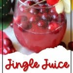 jingle juice cocktail pin image