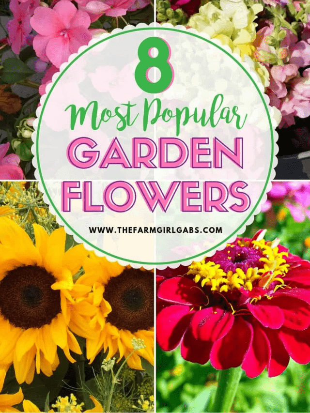 8 Popular Flowers for Your Flower Garden Story - The Farm Girl Gabs®