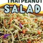 Enjoy the fresh taste of this flavorful yet healthy Low Carb Thai Peanut Salad. Packed with Asian flavors, it has a unique taste that is undeniably good, making it perfect for lunch, or dinner, whichever you prefer. This Thai recipe has everything - creamy Thai peanut sauce, crunchy broccoli slaw and peanuts. Even if you’re not following a low-carb diet, this is still a fantastic salad to make and enjoy.