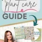 While some houseplants take a lot of time and upkeep, there are a variety of easy-care houseplants that are fairly maintenance-free. Do you have any of these low-maintenance houseplants in your home? Download this free Plant Care Guide for tips and trick for caring for your indoor plants.
