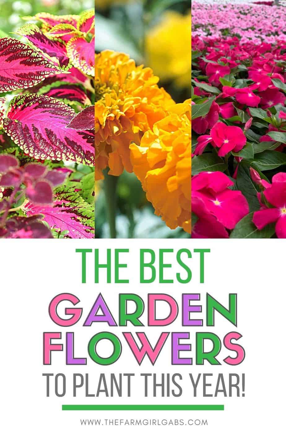 Five Easy Care Garden Flowers - www.thefarmgirlgabs.com