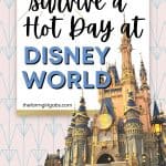 Heading to Walt Disney World on a hot day? Here are some expert tips on how to beat the heat at Disney World. Hot days at Disney are lots of fun, you just have to be prepared. These Disney World Planning tips will help you have a magical vacation with your family.