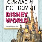 Heading to Walt Disney World on a hot day? Here are some expert tips on how to beat the heat at Disney World. Hot days at Disney are lots of fun, you just have to be prepared. These Disney World Planning tips will help you have a magical vacation with your family.