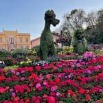 epcot flower and garden