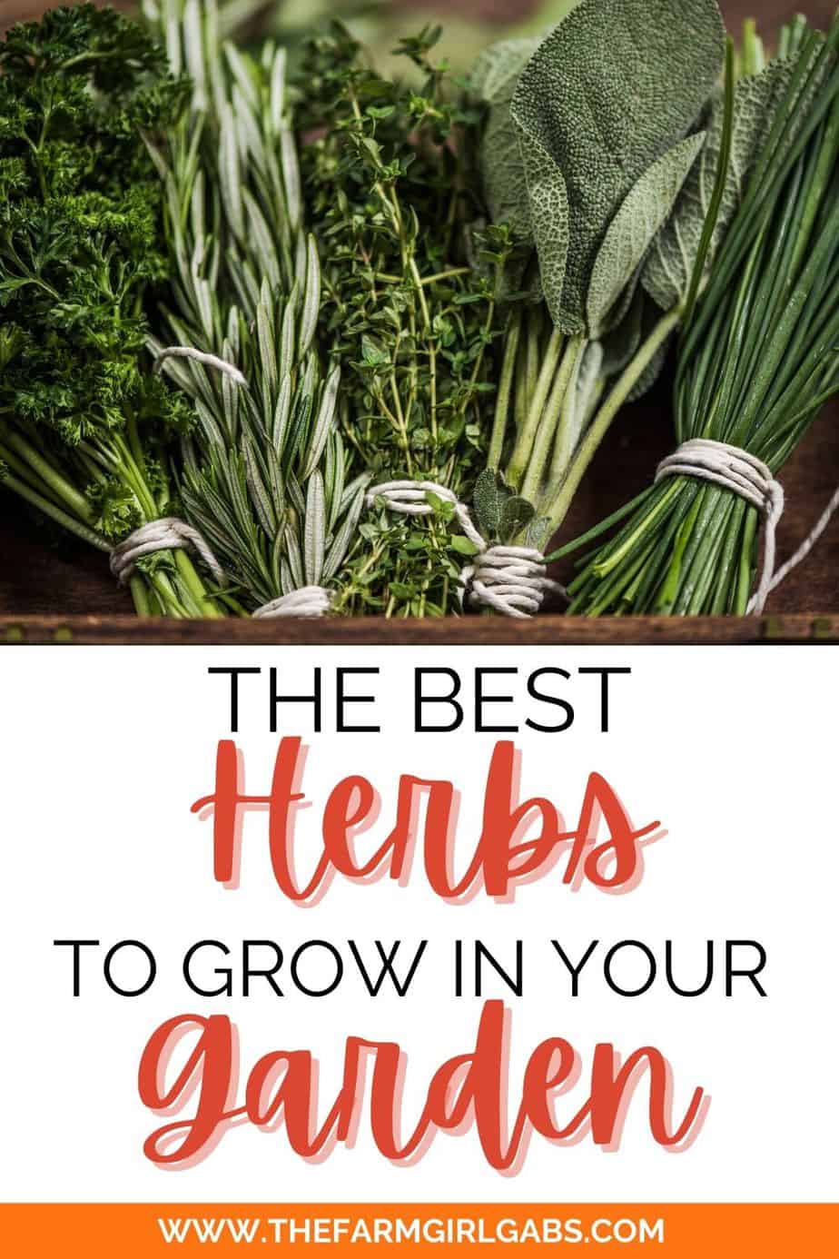 Best Herbs To Grow For Cooking - The Farm Girl Gabs®