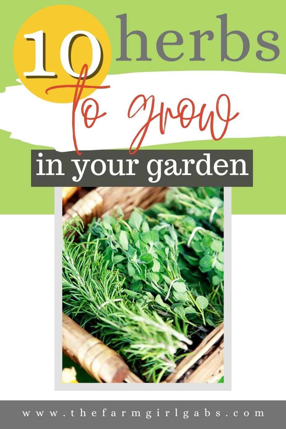 Best Herbs To Grow For Cooking - The Farm Girl Gabs®