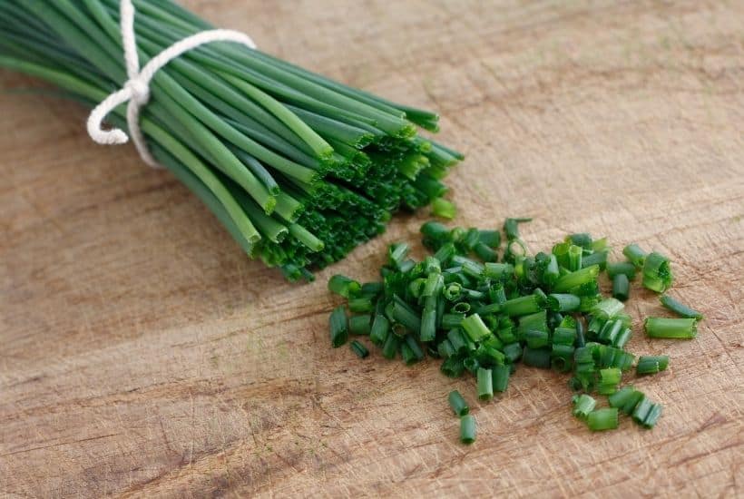 Using fresh herbs in your recipes is the perfect ingredient to brighten up flavors. Growing your own herbs at home are easy. Here are the Best Herbs To Grow In Your Garden.