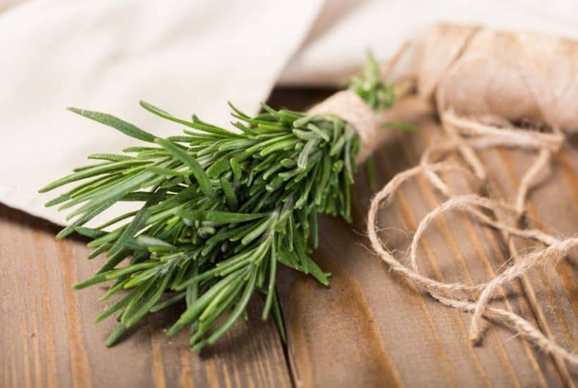 Using fresh herbs in your recipes is the perfect ingredient to brighten up flavors. Growing your own herbs at home are easy. Here are the Best Herbs To Grow In Your Garden.