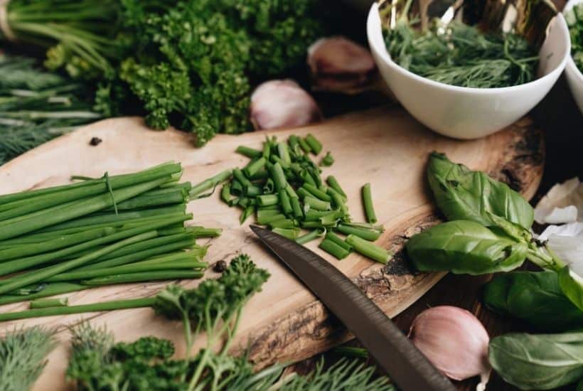 Using fresh herbs in your recipes is the perfect ingredient to brighten up flavors. Growing your own herbs at home are easy. Here are the Best Herbs To Grow In Your Garden.