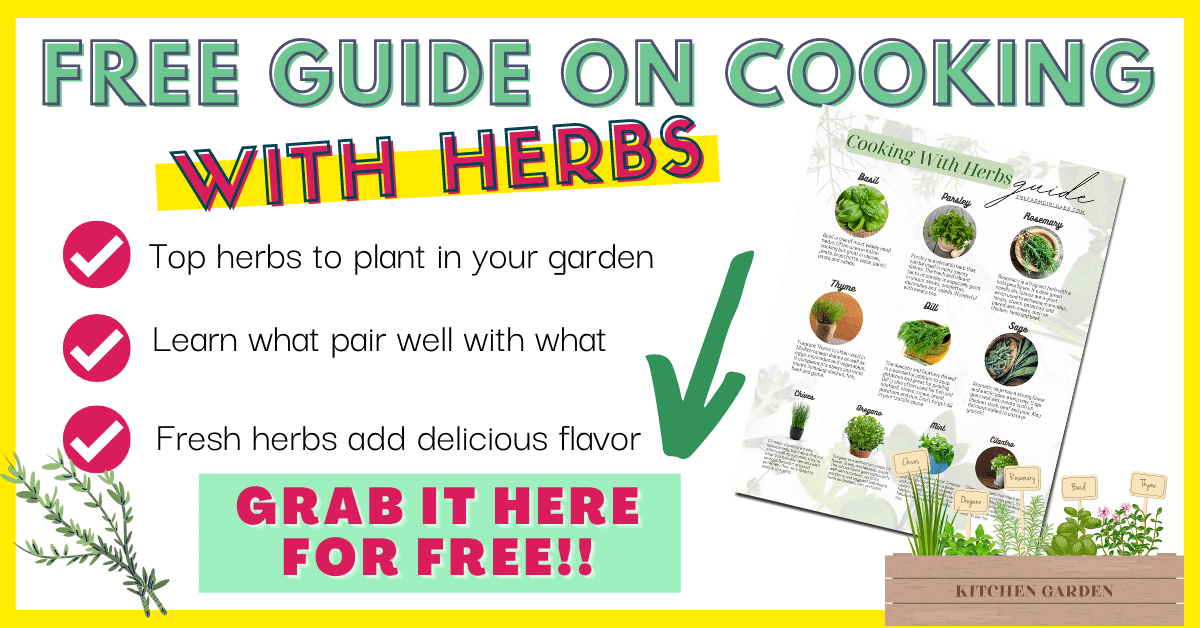 Best Herbs To Grow For Cooking - The Farm Girl Gabs®