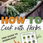 Using fresh herbs in your recipes is the perfect ingredient to brighten up flavors. Growing your own herbs at home are easy. Here are the Best Herbs To Grow In Your Garden. Tips and tricks for growing an herb garden along with way to cook with herbs.