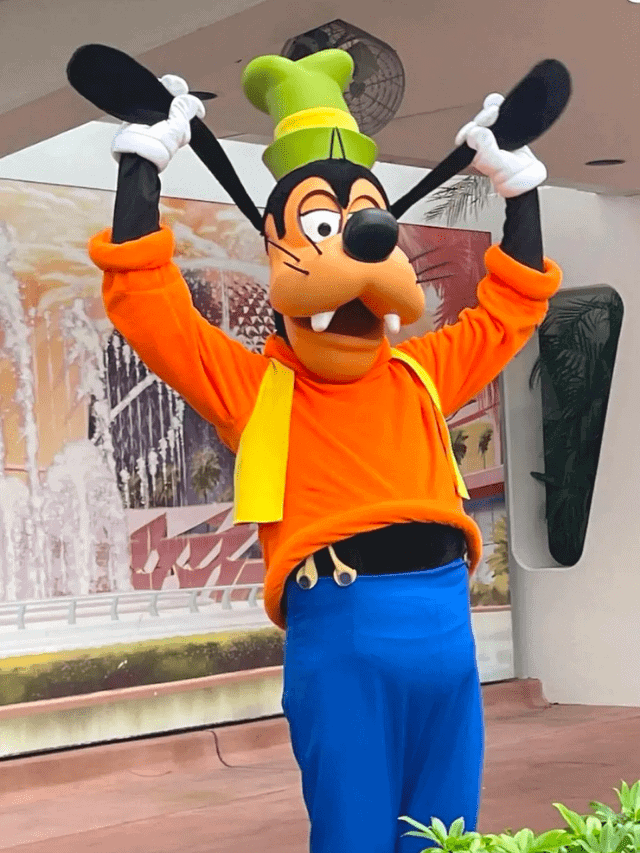 Top Disney World Questions About How to Have a Magical Vacation-Cover image