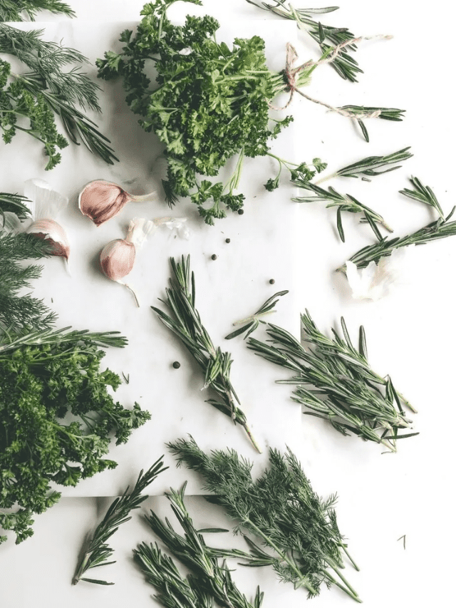 Best Herbs To Grow For Cooking Story The Farm Girl Gabs®