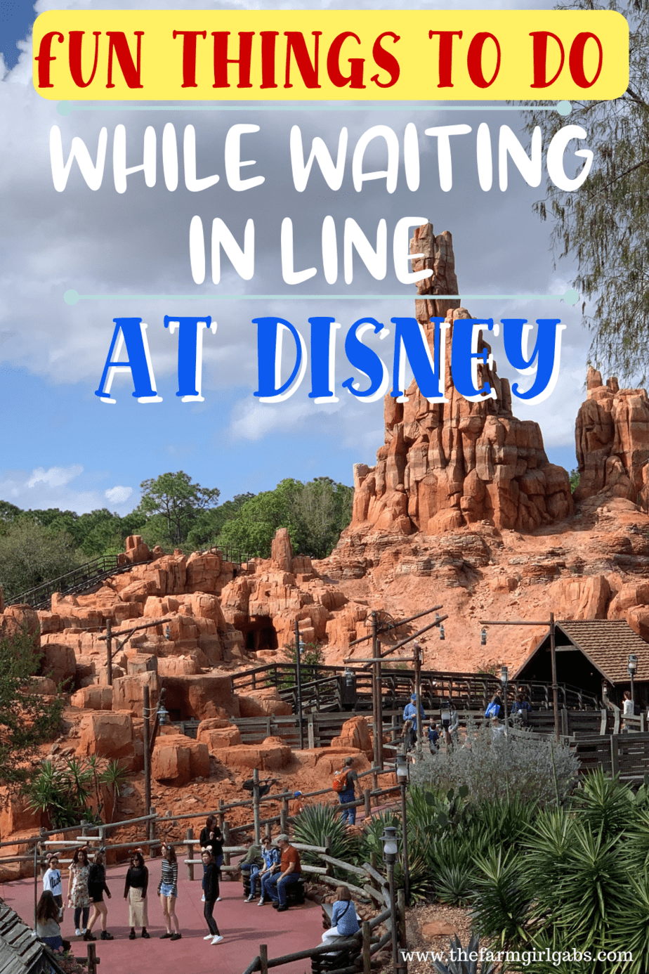 Disney World Standby Ideas to Pass Time in Line The Farm Girl Gabs®