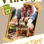 Get the most out of your garden this year with these simple vintage gardening tips from past generations. These helpful "old school" gardening tips will help you save money while feeding your family this summer.