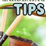 Get the most out of your garden this year with these simple vintage gardening tips from past generations. These helpful "old school" gardening tips will help you save money while feeding your family this summer.