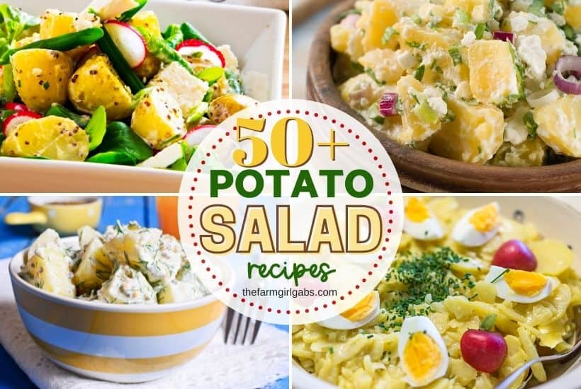 https://thefarmgirlgabs.com/wp-content/uploads/2022/06/50-potato-salad-recipes-feature.jpeg