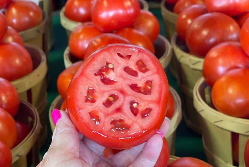 Jersey Tomatoes. Bruschetta is a classic Italian appetizer that is easy to make at home. Toasted bread is topped with tomatoes, Parmesan cheese, garlic, and fresh basil.