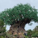 Don’t leave for your next Disney vacation without packing these 10 Amazon Disney World trip must-haves! These Disney trip essentials from Amazon will save the day. If you have a Disney trip on the books, one of the best things you can do is focus on preparation. Do your research ahead of time and you will ensure a much more stress-free vacation for your family! And one of the hallmarks of vacation prep is figuring out what to pack. This can be especially challenging if you aren’t from the state you’re visiting.