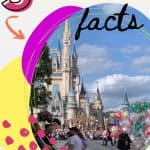 hangs over this unique bubble of cultivated Florida Wilderness. The internet is full of surprising facts and behind-the-scenes tidbits. Yet, there are still plenty of mind-blowing discoveries to make about this high-profile resort. Here are some of those surprising Disney World facts you probably don't know. Check out these Disney trip planning tips.