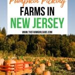 Looking for a pumpkin patch in NJ? Find Your Perfect Pumpkin at one of these New Jersey Pumpkin Patches. Take the family out for some fall fun and pick your own pumpkins in New Jersey. You will have a blast pumpkin picking at one of the New Jersey Farms.