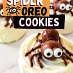Make these adorable and tasty Chocolate Covered Spider Oreos for the perfect Halloween treat. Children and adults can enjoy the sweet taste and spooky appearance of this easy-to-prepare Halloween Recipe!
