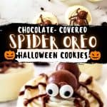 Make these adorable and tasty Chocolate Covered Spider Oreos for the perfect Halloween treat. Children and adults can enjoy the sweet taste and spooky appearance of this easy-to-prepare Halloween Recipe!