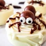 Make these adorable and tasty Chocolate Covered Spider Oreos for the perfect Halloween treat. Children and adults can enjoy the sweet taste and spooky appearance of this easy-to-prepare Halloween Recipe!