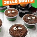 Prepare the perfect adult-friendly Halloween treat with these Jeepers Creepers Jello Shots. They’re easy to make and so delicious that you can expect your family and friends to come back for seconds!