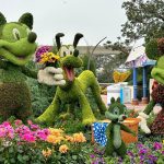 Ultimate Guide to the Epcot International Flower And Garden Festival at Walt Disney World