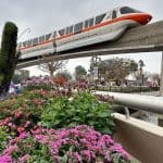 Ultimate Guide to the Epcot International Flower And Garden Festival at Walt Disney World