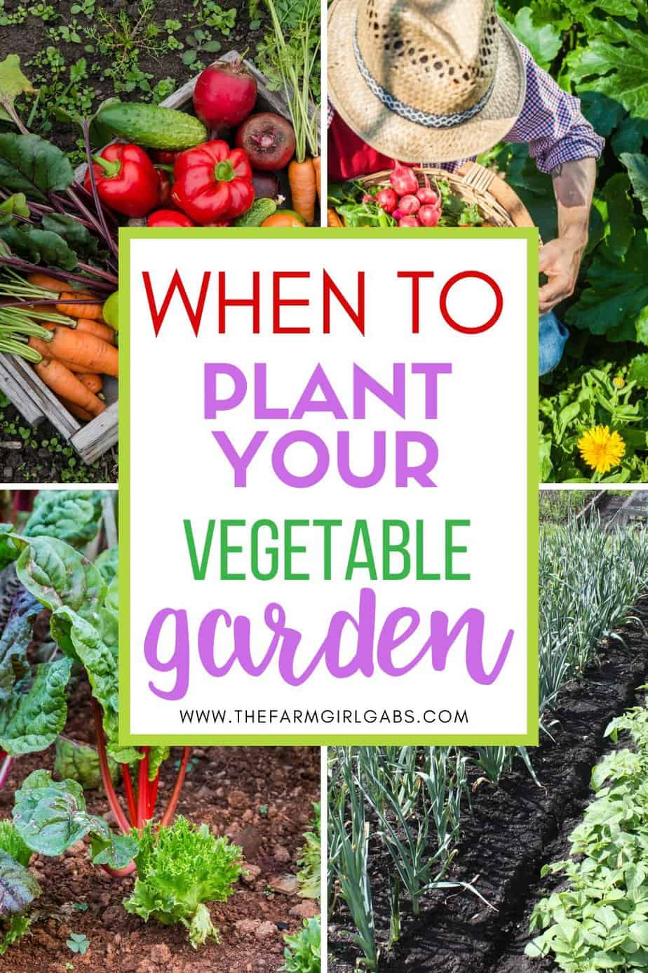 When To Plant A Backyard Vegetable Garden The Farm Girl Gabs®